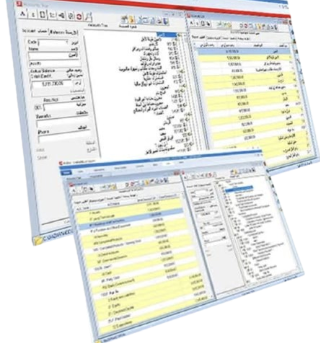 Bazar Accountant V19 on Windows: the account tree beside the account balances